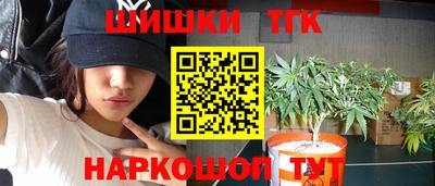 индика Кулебаки