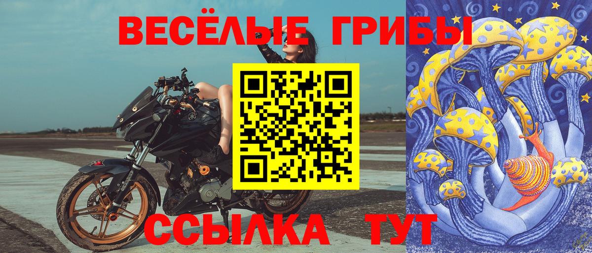 Галлюциногенные грибы MAGIC MUSHROOMS  Псилоцибиновые грибы мицелий  Вход с VPN  Алапаевск 