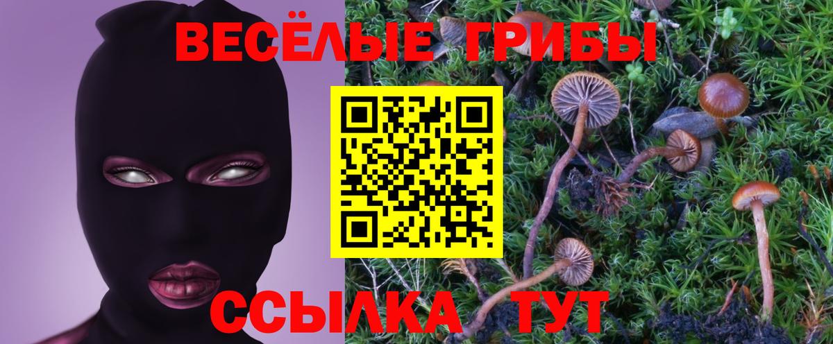 Псилоцибиновые грибы MAGIC MUSHROOMS Алапаевск